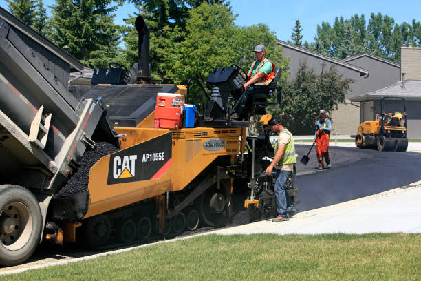 Best Driveway Paving Contractor  in The Homesteads, TX